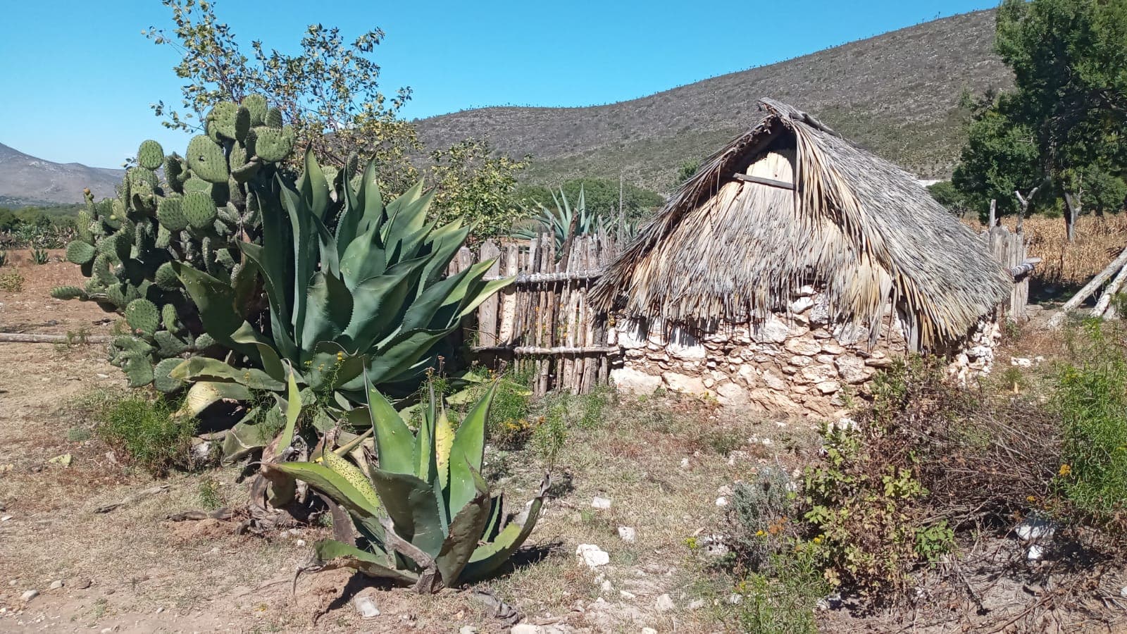 Nchia kanche (Izote House), Edith González Cruz, 17 December 2021