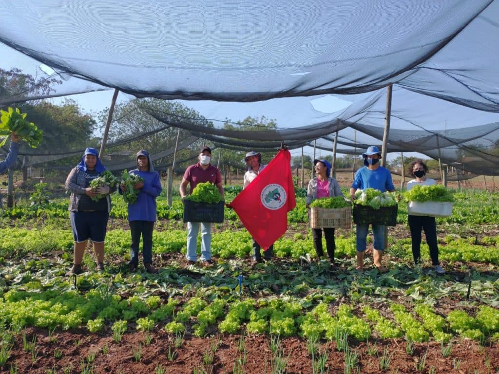 Image of the article »The Landless Workers’ Movement in Brazil During the COVID-19 Pandemic: How a Social Movement Feeds a Nation«