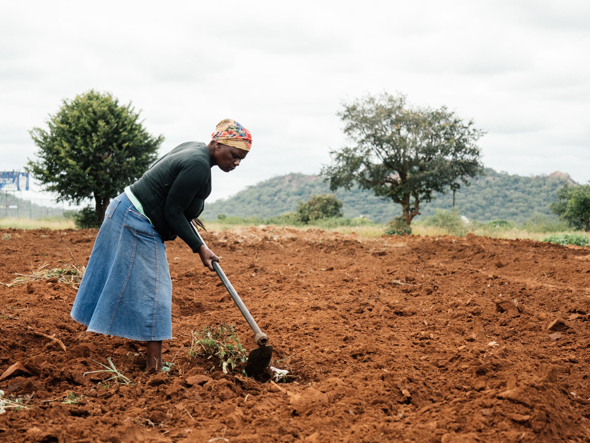 Confronting Corporate-Driven Food Systems in the Time of COVID-19: Contradictions and Potential in South Africa’s Civil Society